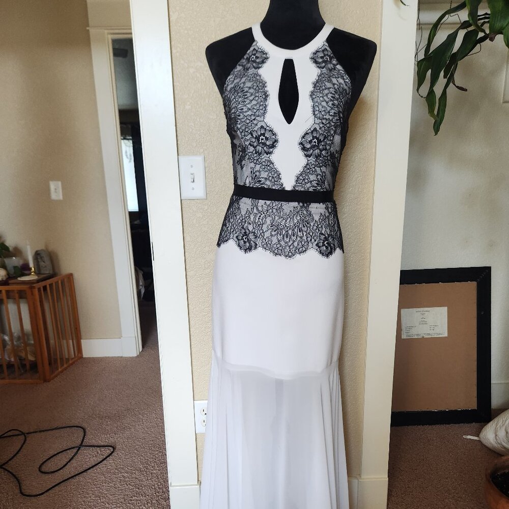 BCBGMaxazria Georgianna Lace Maxi Dress Size 2